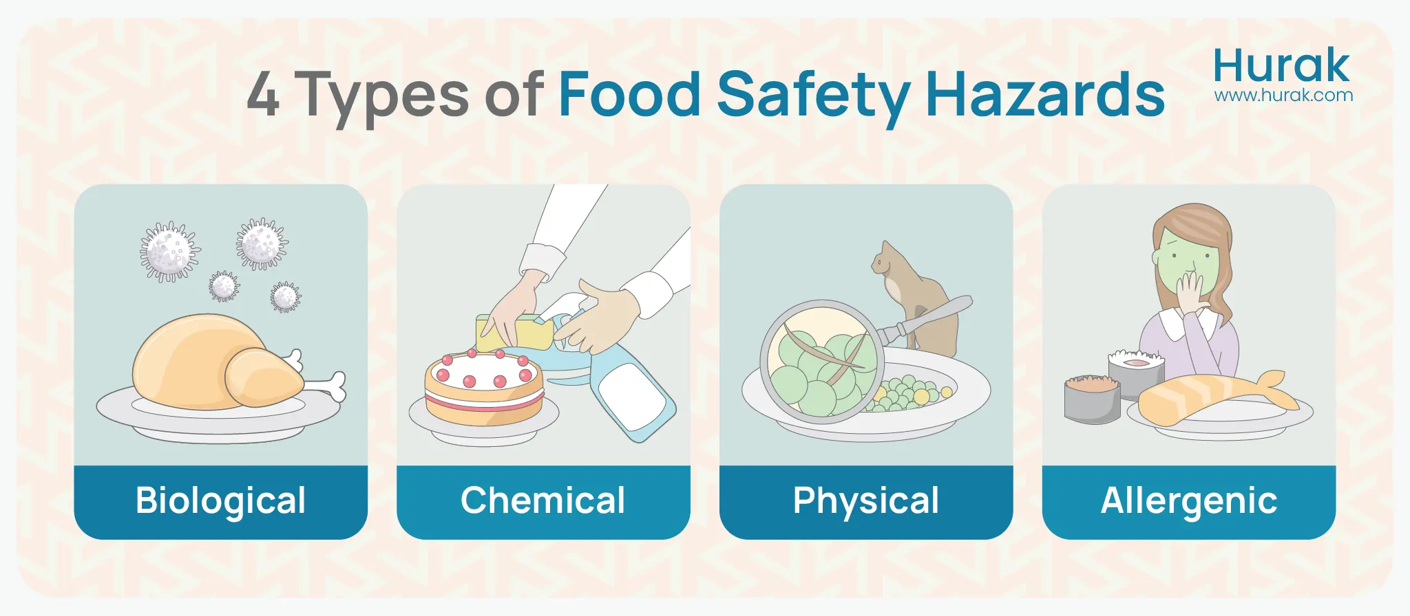  Illustration of the 4 types of food safety hazards: biological, chemical, physical, and allergenic