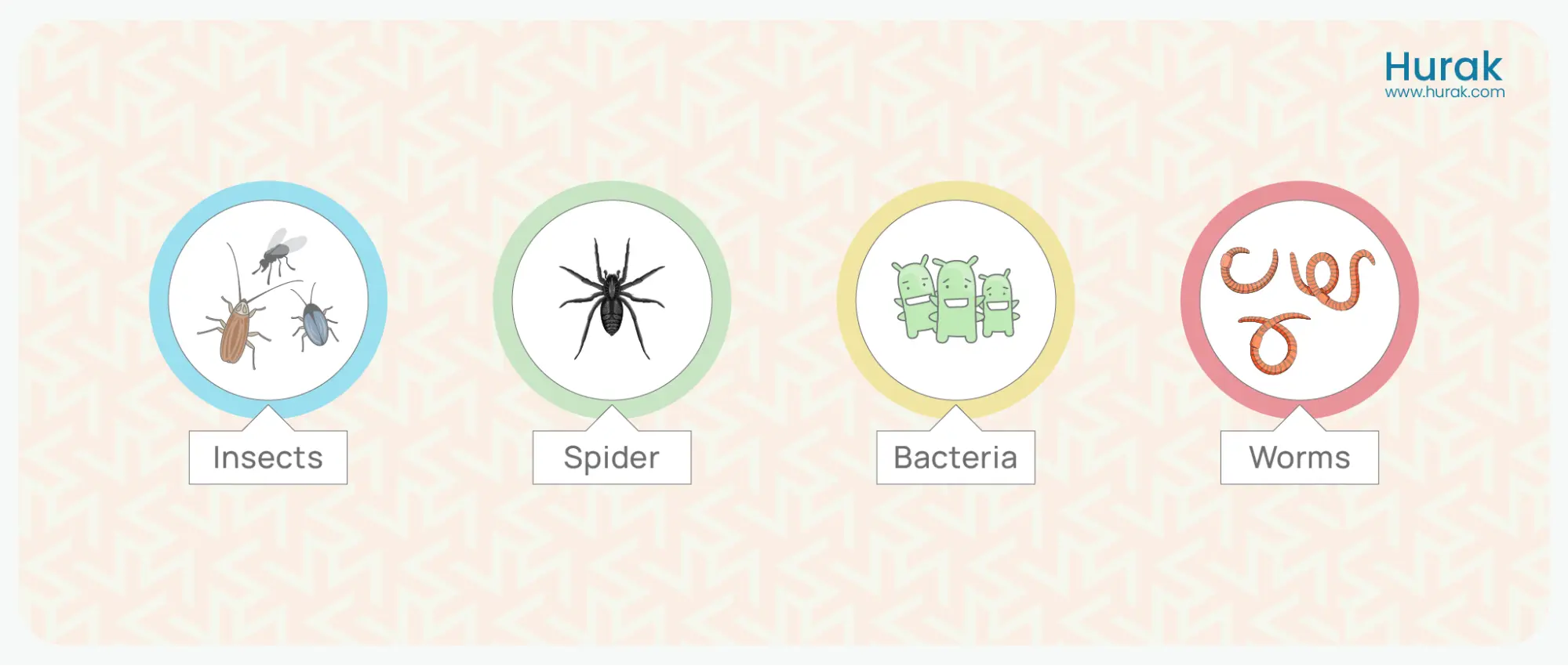 Different Types of Pests