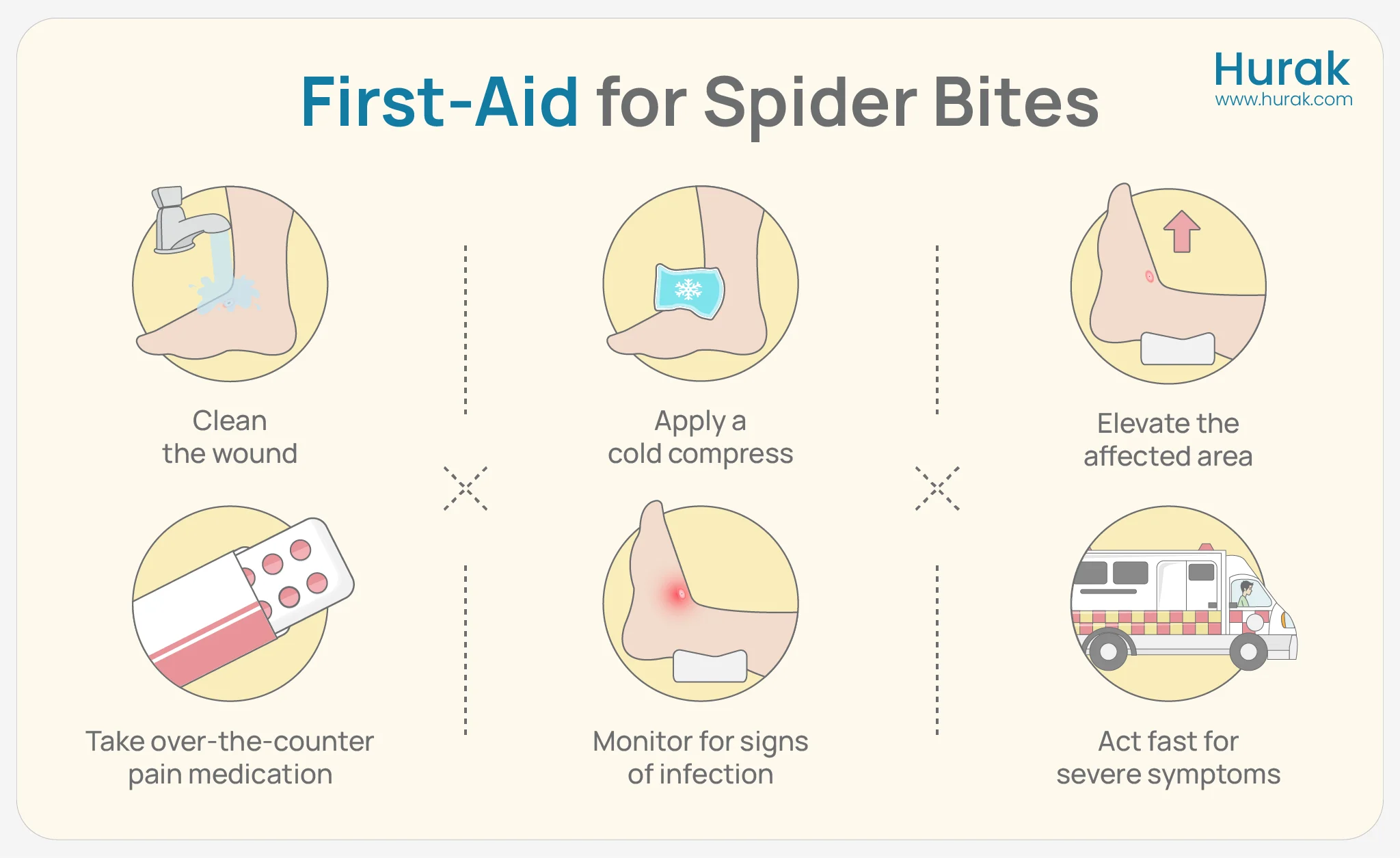 First Aid for Spider Bites