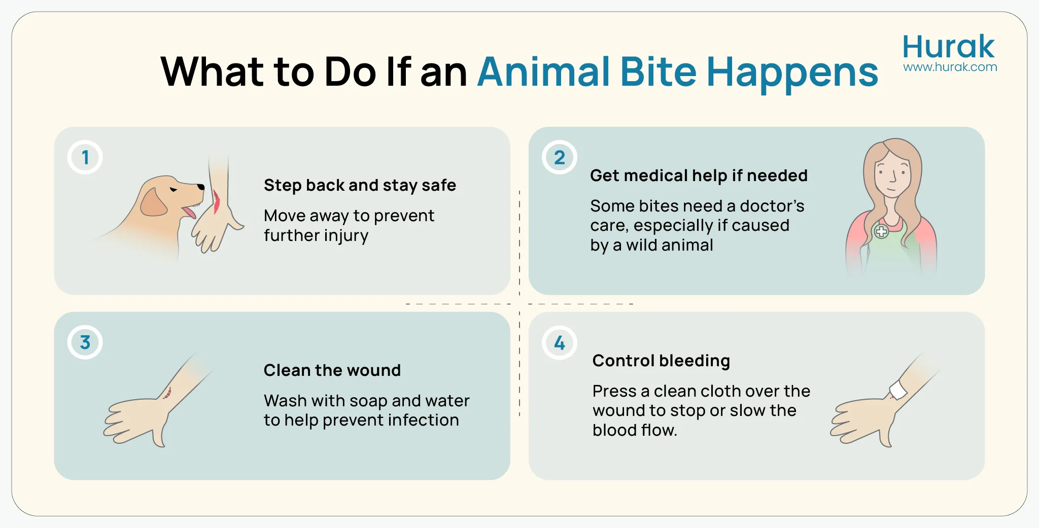 Infographic showing immediate first aid steps to take after an animal bite