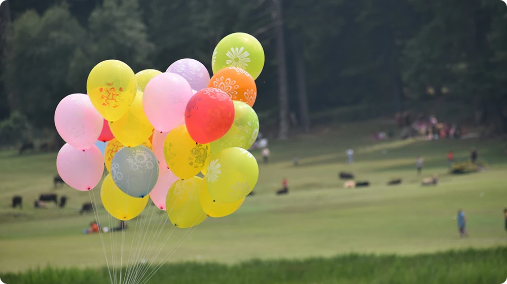 A bunch of colourful balloons floating outdoors in a green park