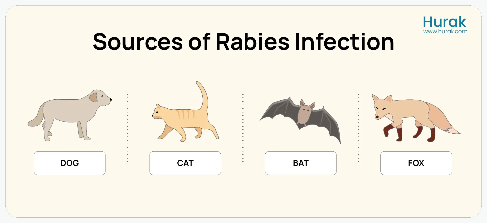 Common animal carriers of rabies, including bats, dogs, foxes, and raccoons.