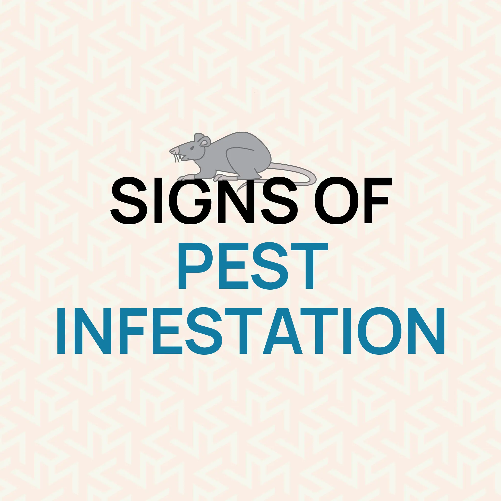 pest-infestation-guide-hurak