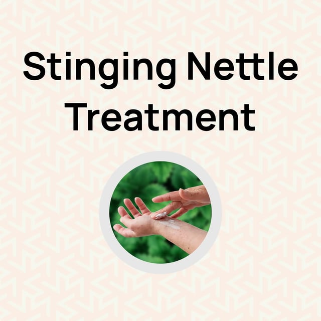 Stinging Nettle Treatment