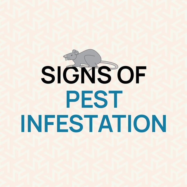 pest-infestation-guide-hurak