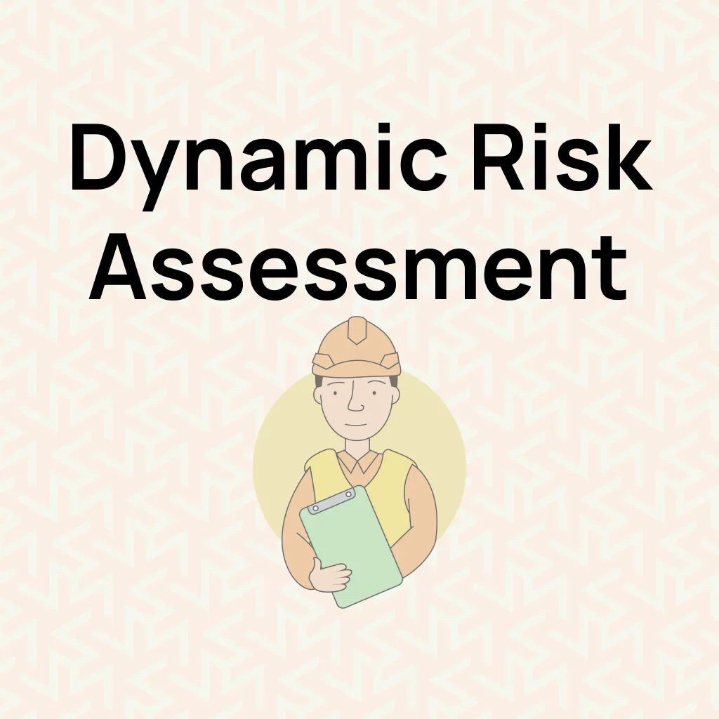 Dynamic risk assessment Infographics