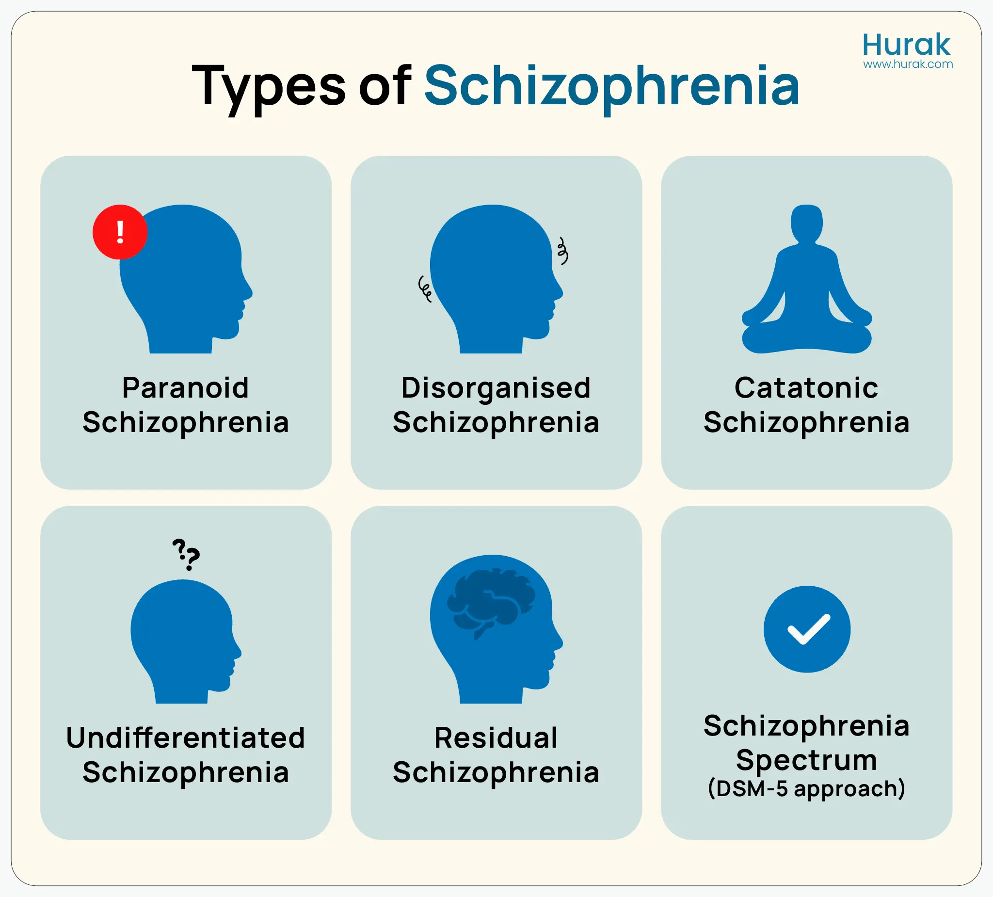 Infographic showing different types of schizophrenia.
